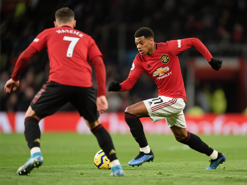 泰山的比赛 泰山的比赛